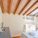 Apartman Steccata *